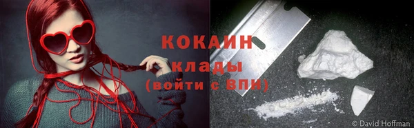 сатива Арсеньев