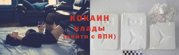 сатива Арсеньев