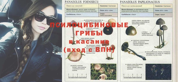 spice Армянск